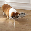 Medium/Large Modern Lucite Rectangular Elevated Pet Feeder