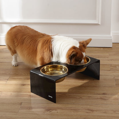 Medium/Large Modern Lucite Rectangular Elevated Pet Feeder