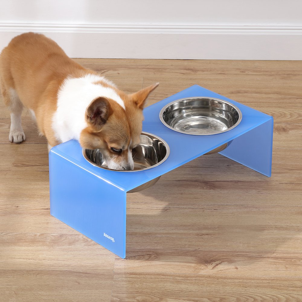 7.5" Rectangular Elevated Pet Feeder, 54oz 2-Stainless Steel Bowls, Blue