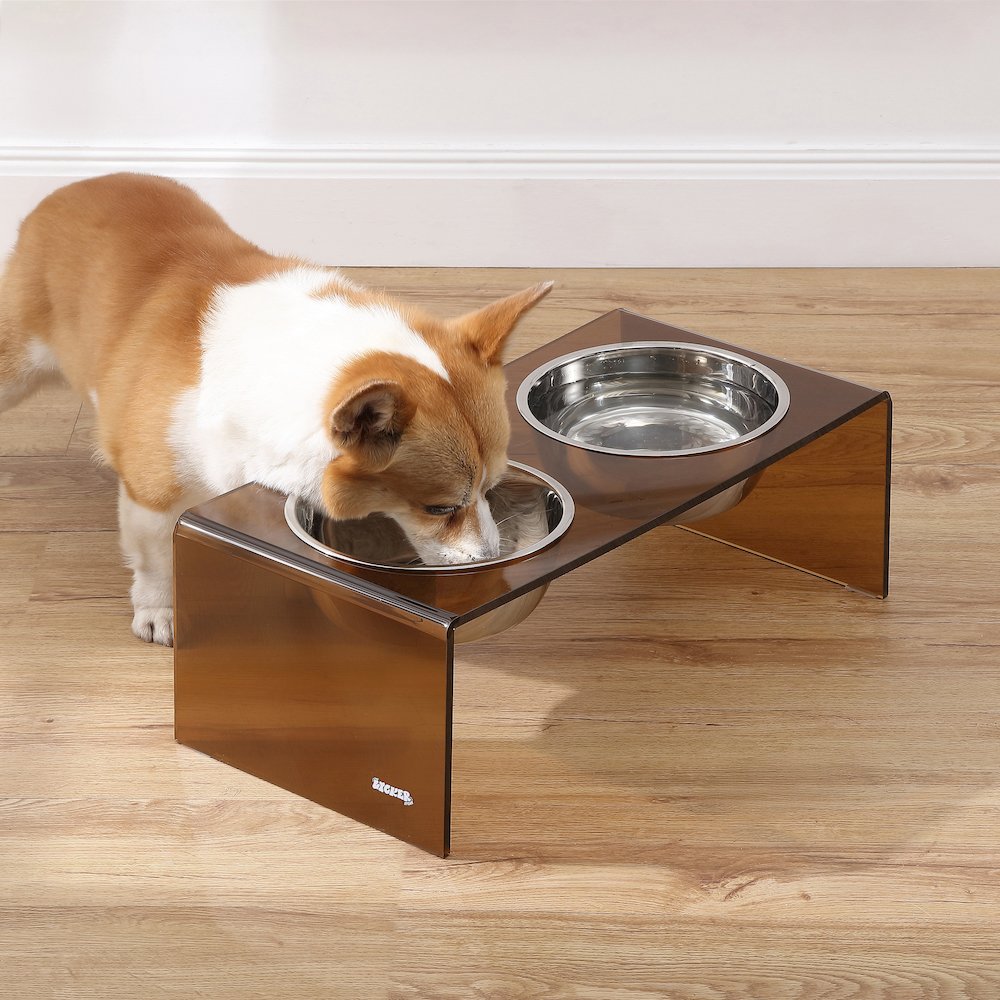 7.5" Rectangular Elevated Pet Feeder, 54oz 2-Stainless Steel Bowls, Amber