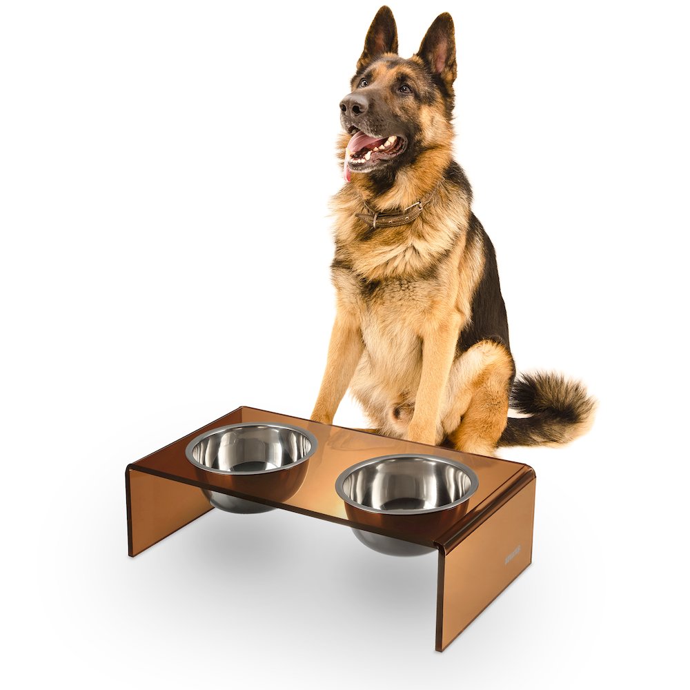 7.5" Rectangular Elevated Pet Feeder, 54oz 2-Stainless Steel Bowls, Amber