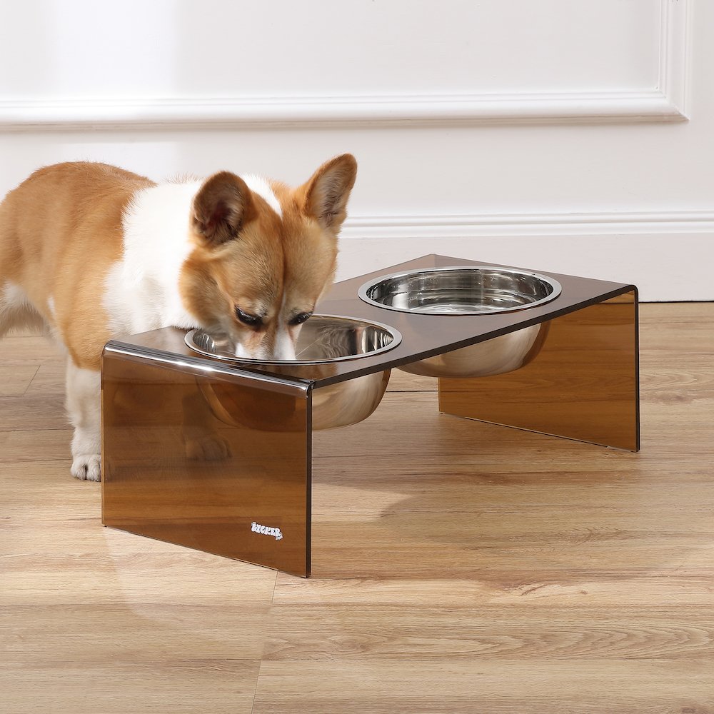 7.5" Rectangular Elevated Pet Feeder, 54oz 2-Stainless Steel Bowls, Amber