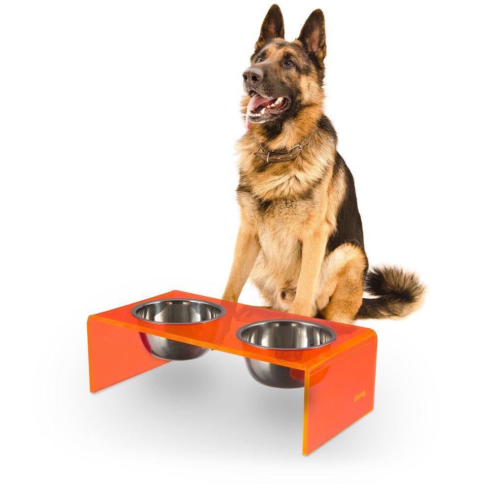 7.5" Rectangular Elevated Pet Feeder, 54oz 2-Stainless Steel Bowls, Pink