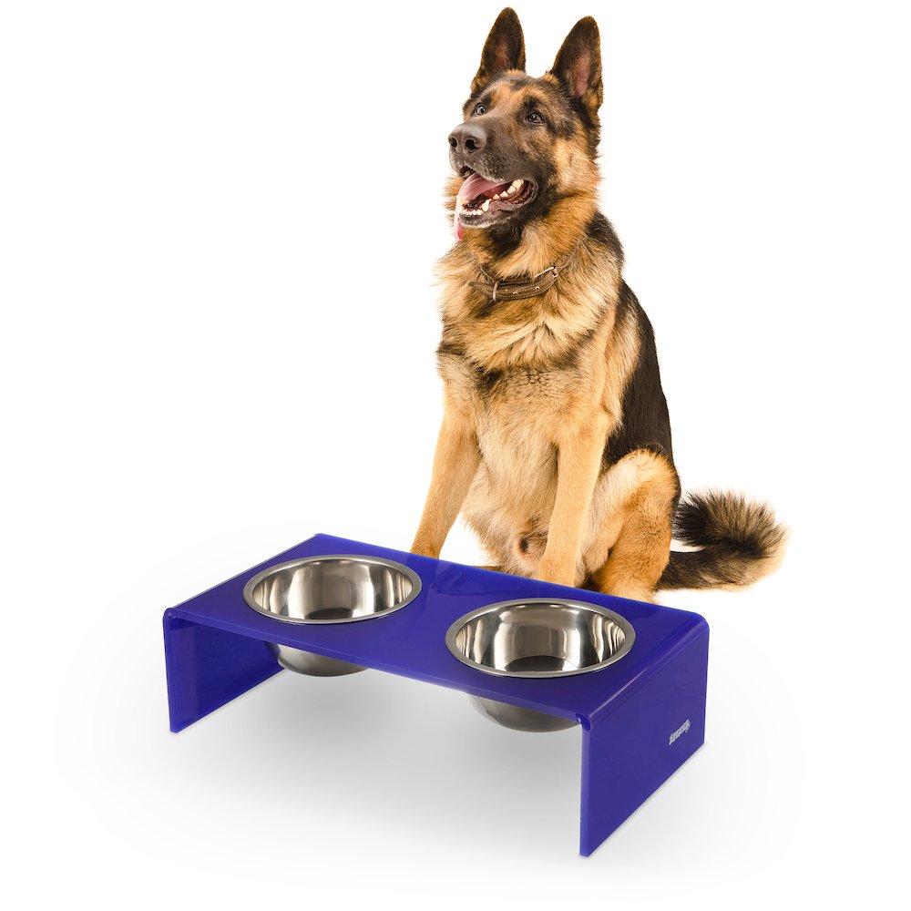 7.5" Rectangular Elevated Pet Feeder, 54oz 2-Stainless Steel Bowls, Purple