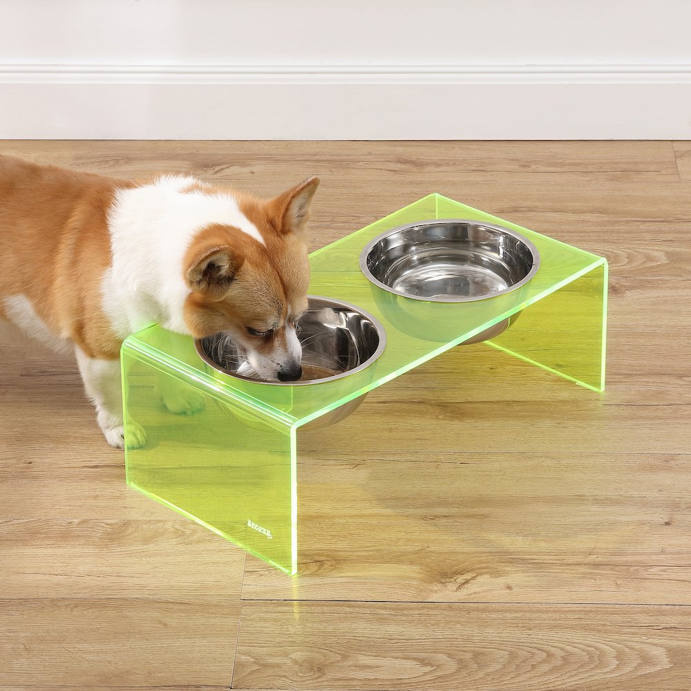 7.5" Rectangular Elevated Pet Feeder, 54oz 2-Stainless Steel Bowls, Green