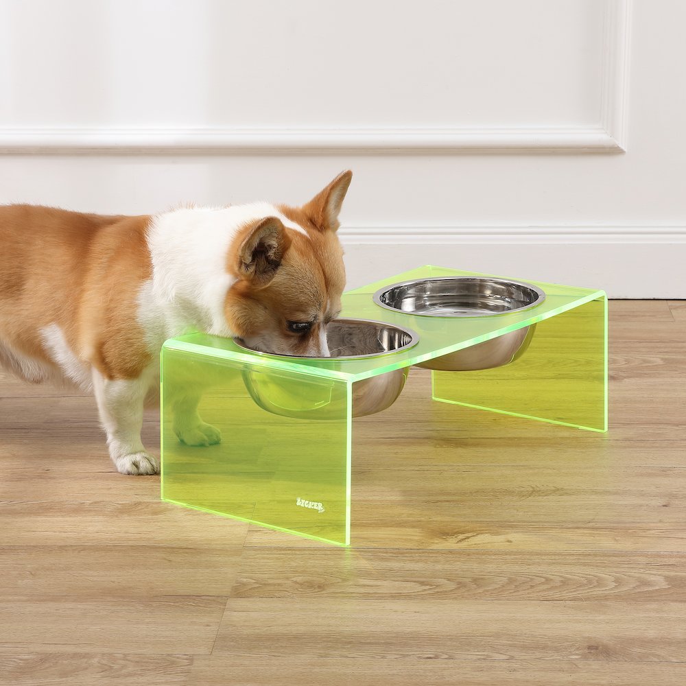 7.5" Rectangular Elevated Pet Feeder, 54oz 2-Stainless Steel Bowls, Green