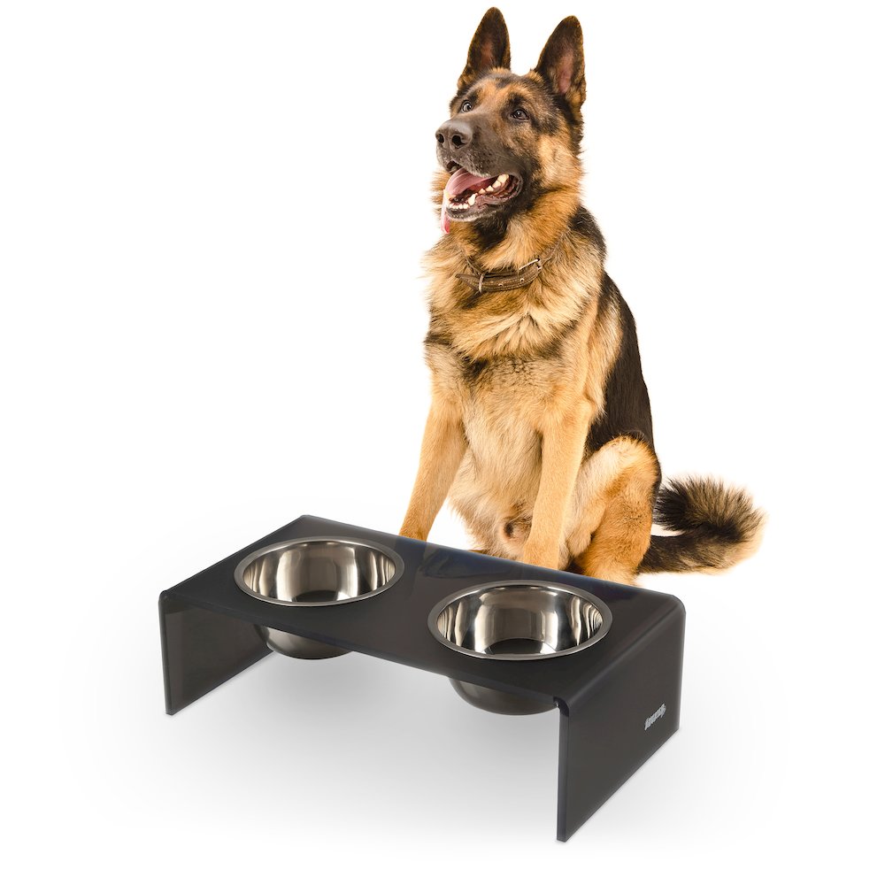 7.5" Rectangular Elevated Pet Feeder, 54oz 2-Stainless Steel Bowls, Dark Gray