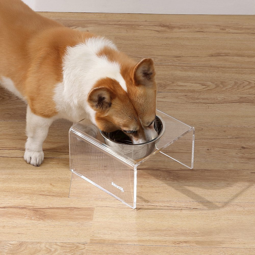5" Acrylic Rectangular Elevated Pet Feeder, 20oz 1-Stainless Steel Bowl, Clear
