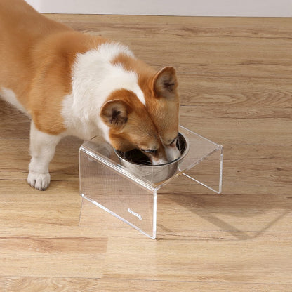 5" Acrylic Rectangular Elevated Pet Feeder, 20oz 1-Stainless Steel Bowl, Clear