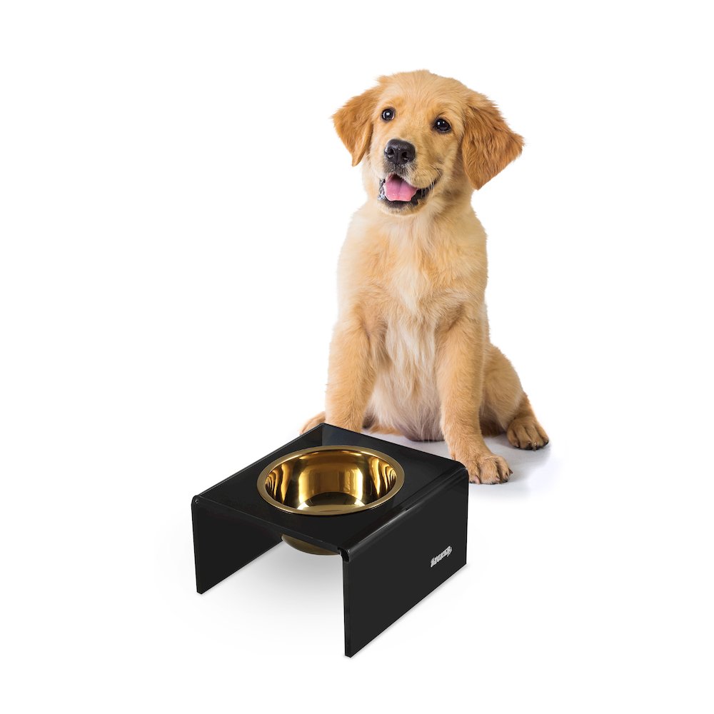 5" Acrylic Rectangular Elevated Pet Feeder, 20oz 1-Stainless Steel Bowl, Black