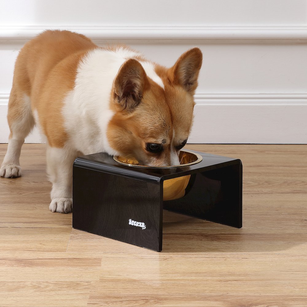 5" Acrylic Rectangular Elevated Pet Feeder, 20oz 1-Stainless Steel Bowl, Black