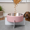 Intersecta  Concrete and Stainless Steel Bowl 16oz (2 Cups) with Metal Stand