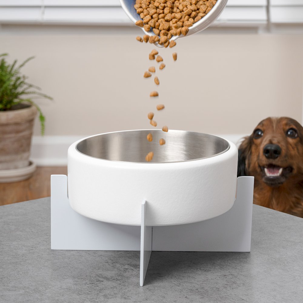 Intersecta  Concrete and Stainless Steel Bowl 16oz (2 Cups) with Metal Stand