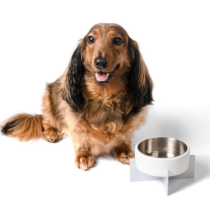 Intersecta  Concrete and Stainless Steel Bowl 16oz (2 Cups) with Metal Stand