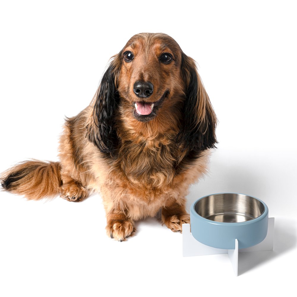 Intersecta  Concrete and Stainless Steel Bowl 16oz (2 Cups) with Metal Stand