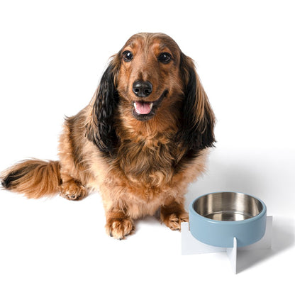 Intersecta  Concrete and Stainless Steel Bowl 16oz (2 Cups) with Metal Stand