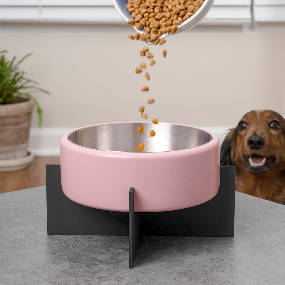 Intersecta  Concrete and Stainless Steel Bowl 16oz (2 Cups) with Metal Stand