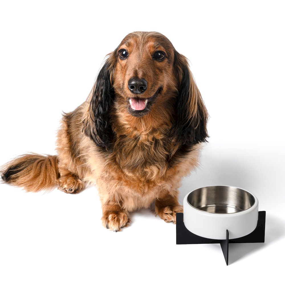 Intersecta  Concrete and Stainless Steel Bowl 16oz (2 Cups) with Metal Stand