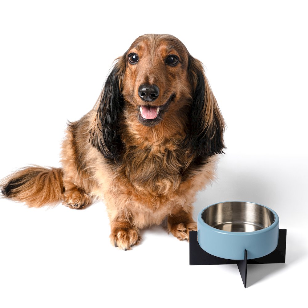 Intersecta  Concrete and Stainless Steel Bowl 16oz (2 Cups) with Metal Stand