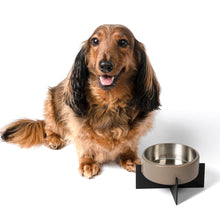 Intersecta  Concrete and Stainless Steel Bowl 16oz (2 Cups) with Metal Stand