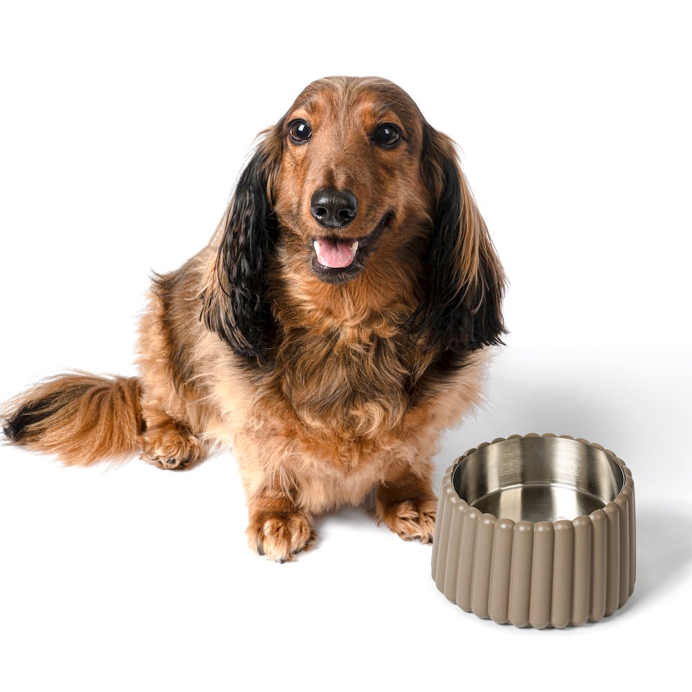 Ripple Ridge  Slanted Concrete and Stainless Steel Bowl 16oz (2 Cups) Pet