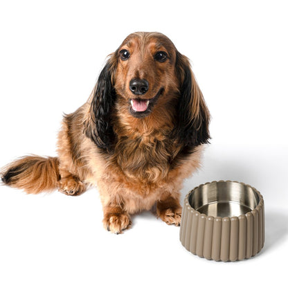 Ripple Ridge  Slanted Concrete and Stainless Steel Bowl 16oz (2 Cups) Pet