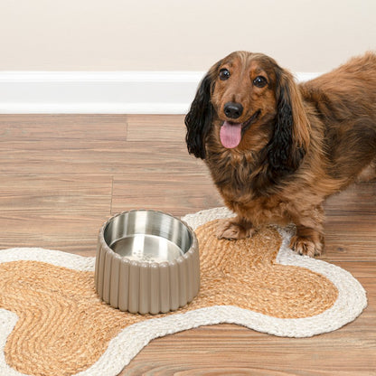 Ripple Ridge  Slanted Concrete and Stainless Steel Bowl 16oz (2 Cups) Pet