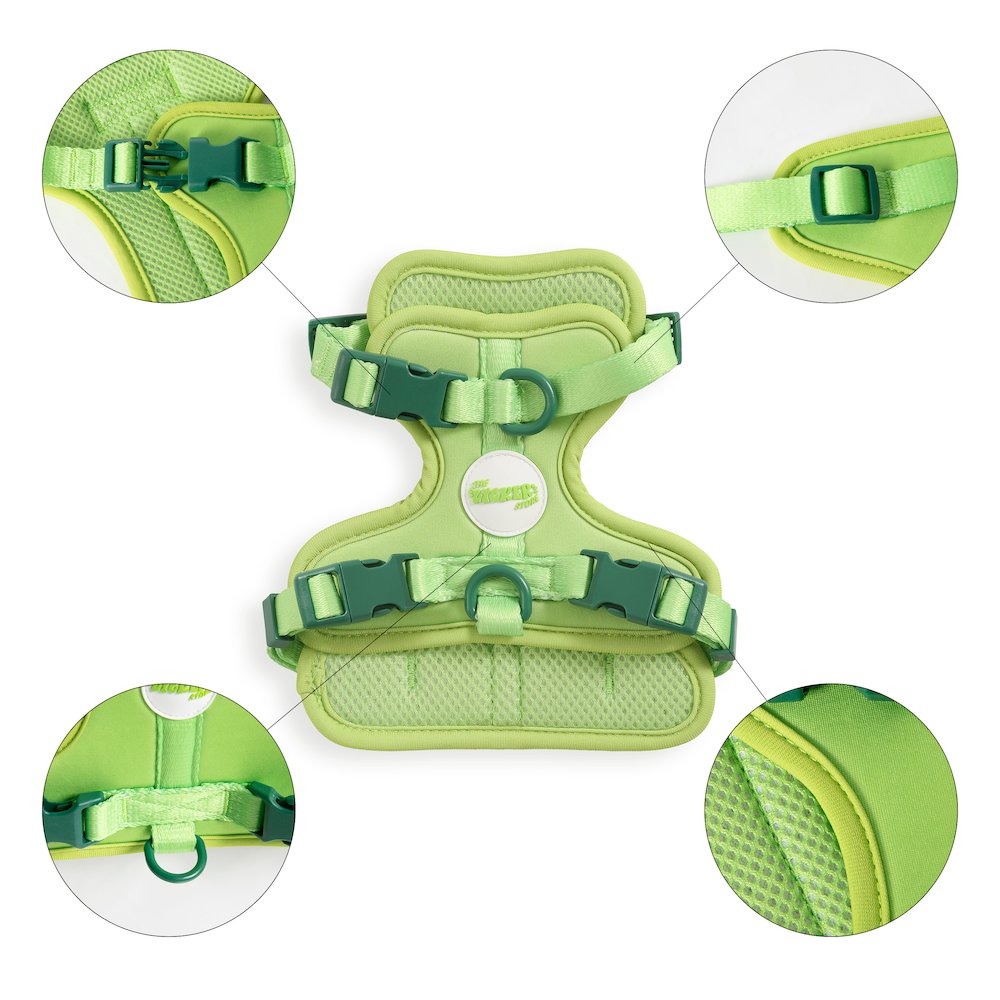 Arlo Adjustable Soft Padded No Pull Pet Harness with 3 Buckles and 3 Leash Clips