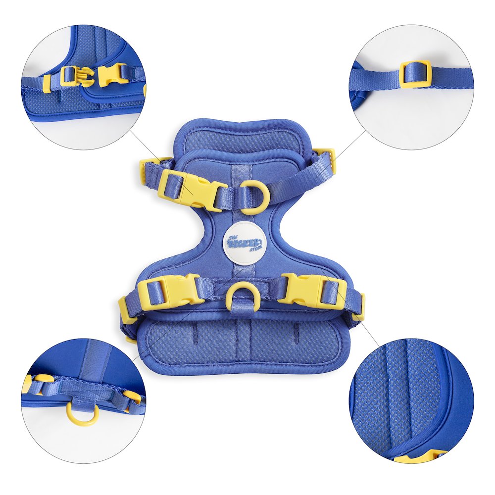 Arlo Adjustable Soft Padded No Pull Pet Harness with 3 Buckles and 3 Leash Clips