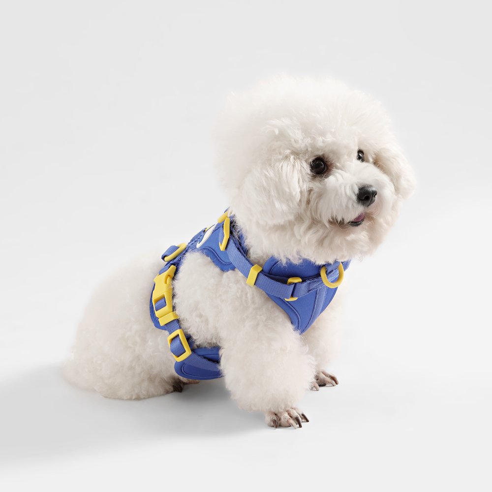 Arlo Adjustable Soft Padded No Pull Pet Harness with 3 Buckles and 3 Leash Clips