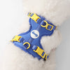 Arlo Adjustable Soft Padded No Pull Pet Harness with 3 Buckles and 3 Leash Clips