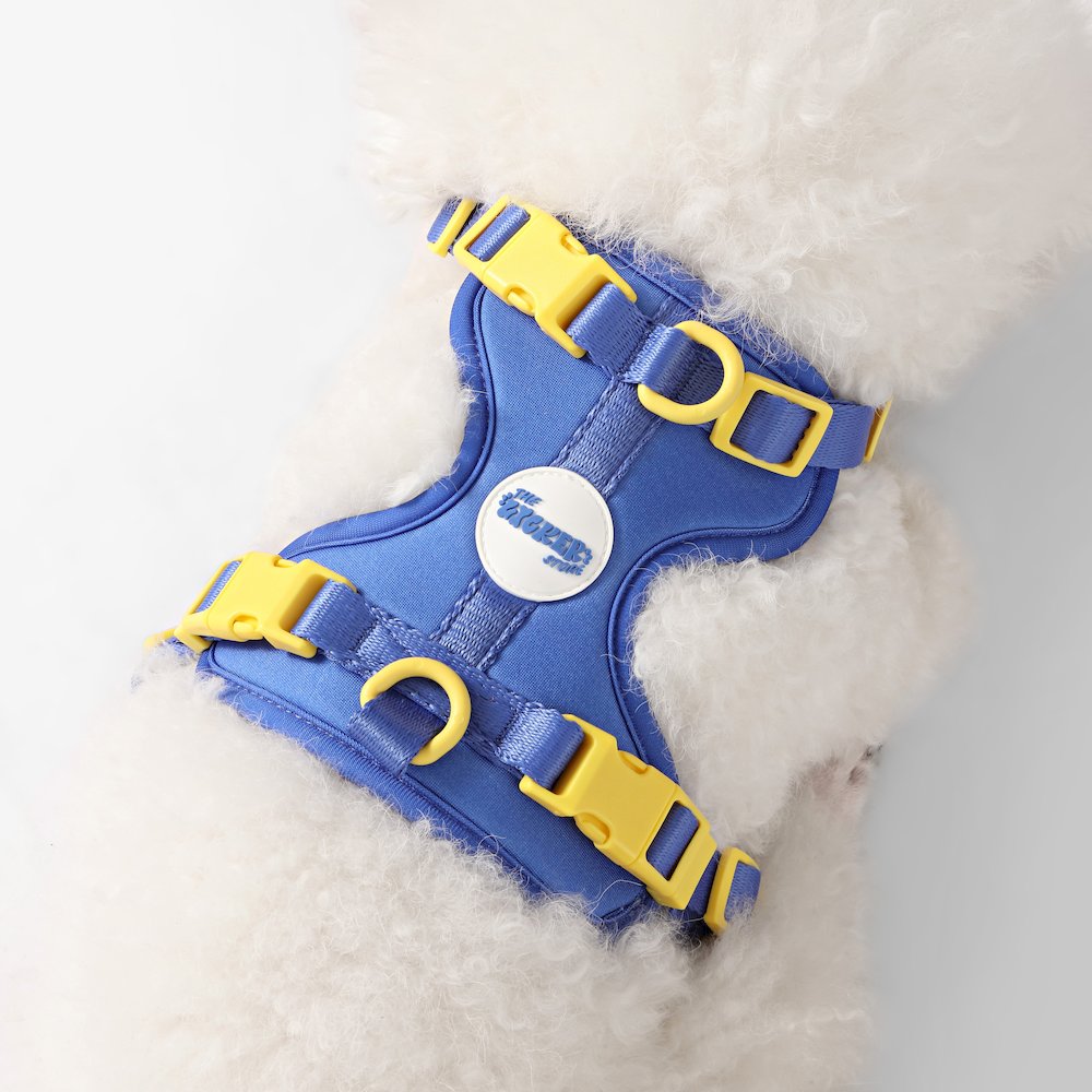 Arlo Adjustable Soft Padded No Pull Pet Harness with 3 Buckles and 3 Leash Clips