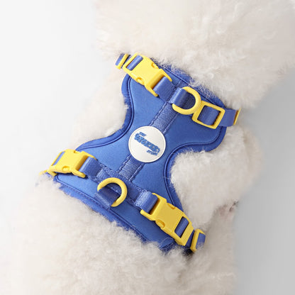 Arlo Adjustable Soft Padded No Pull Pet Harness with 3 Buckles and 3 Leash Clips