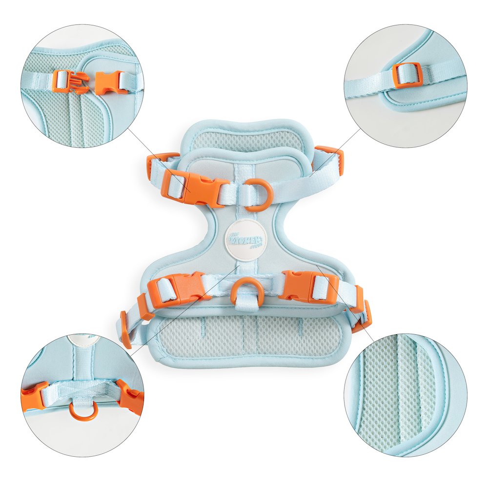 Arlo Adjustable Soft Padded No Pull Pet Harness with 3 Buckles and 3 Leash Clips