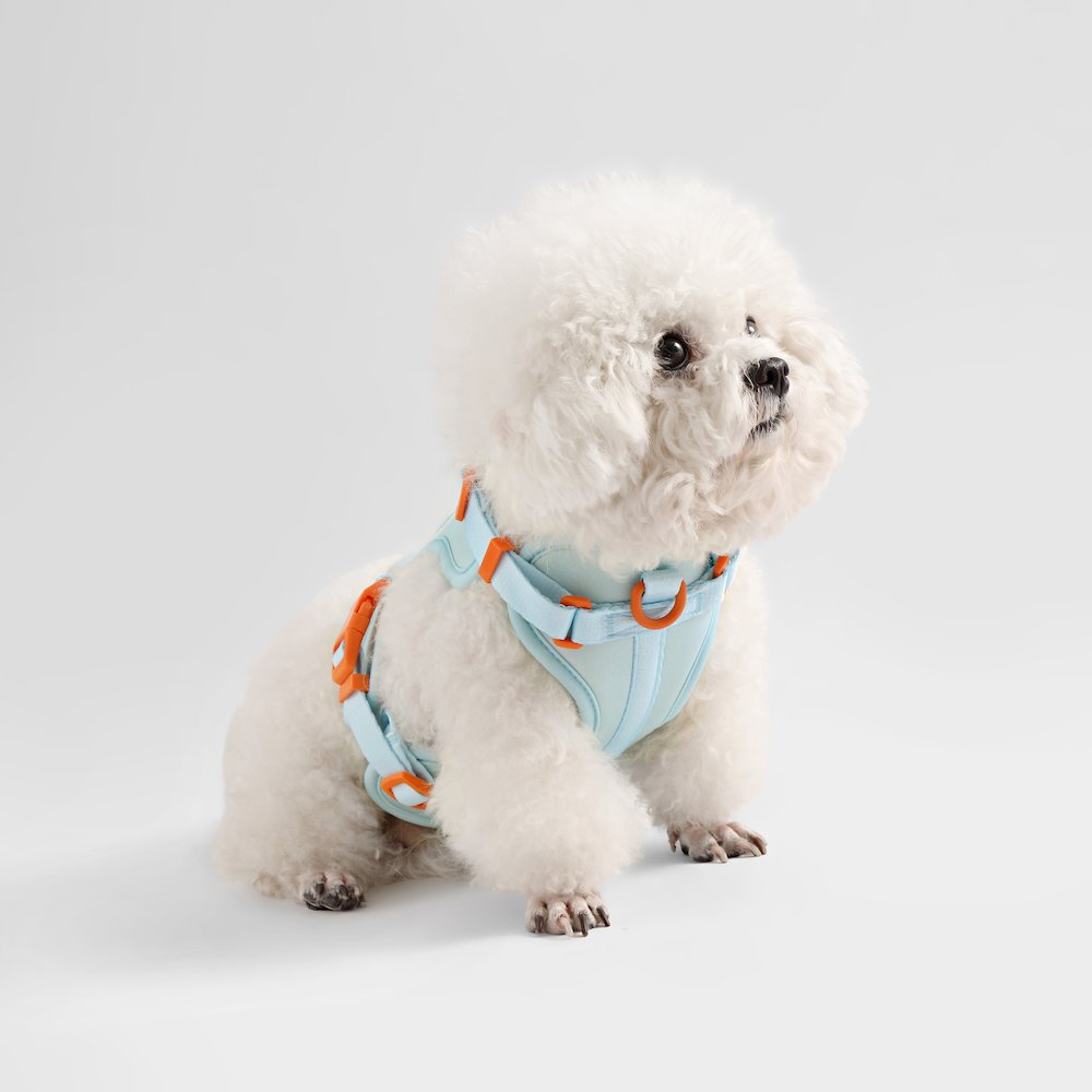 Arlo Adjustable Soft Padded No Pull Pet Harness with 3 Buckles and 3 Leash Clips