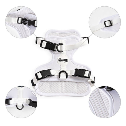 Arlo Adjustable Soft Padded No Pull Pet Harness with 3 Buckles and 3 Leash Clips