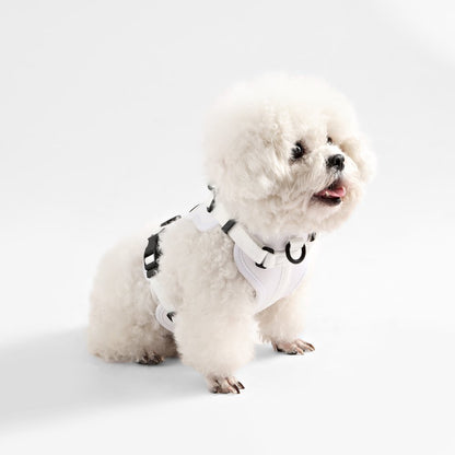 Arlo Adjustable Soft Padded No Pull Pet Harness with 3 Buckles and 3 Leash Clips