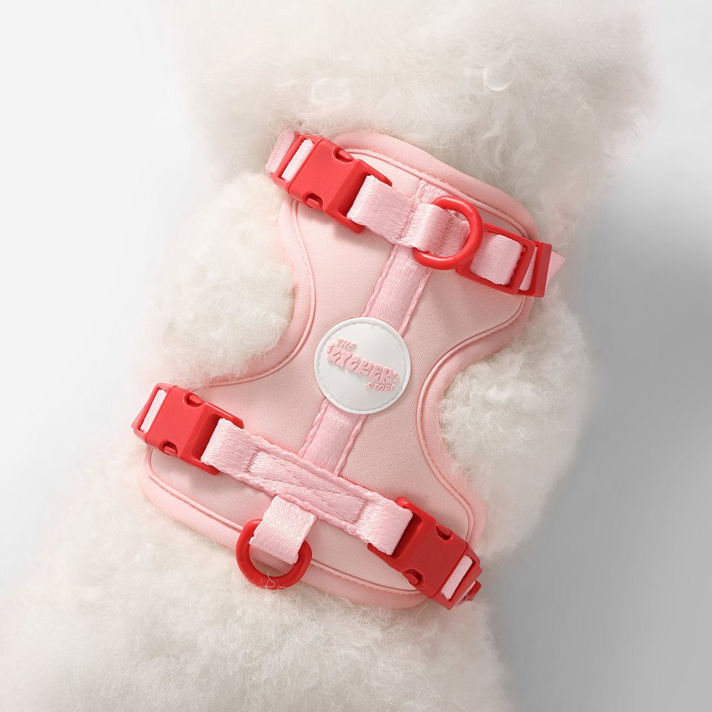 Arlo Adjustable Soft Padded No Pull Pet Harness with 3 Buckles and 3 Leash Clips