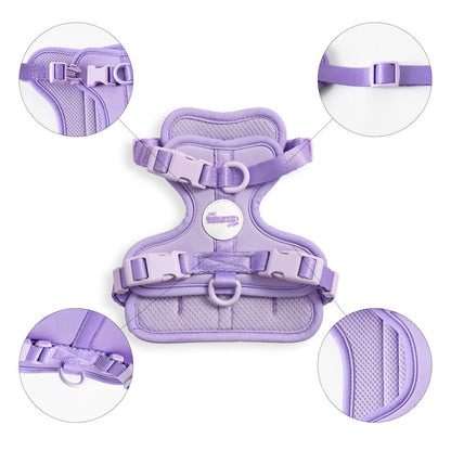 Arlo Adjustable Soft Padded No Pull Pet Harness with 3 Buckles and 3 Leash Clips