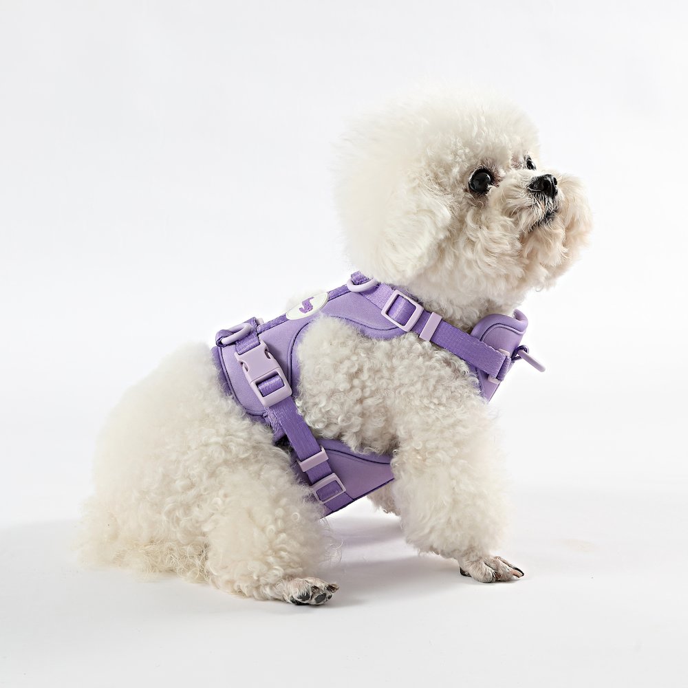Arlo Adjustable Soft Padded No Pull Pet Harness with 3 Buckles and 3 Leash Clips