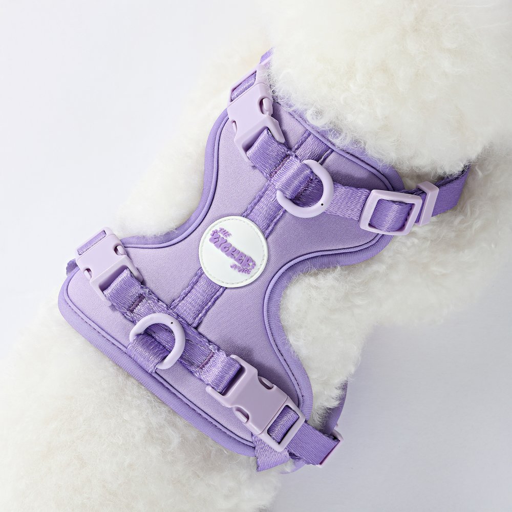 Arlo Adjustable Soft Padded No Pull Pet Harness with 3 Buckles and 3 Leash Clips