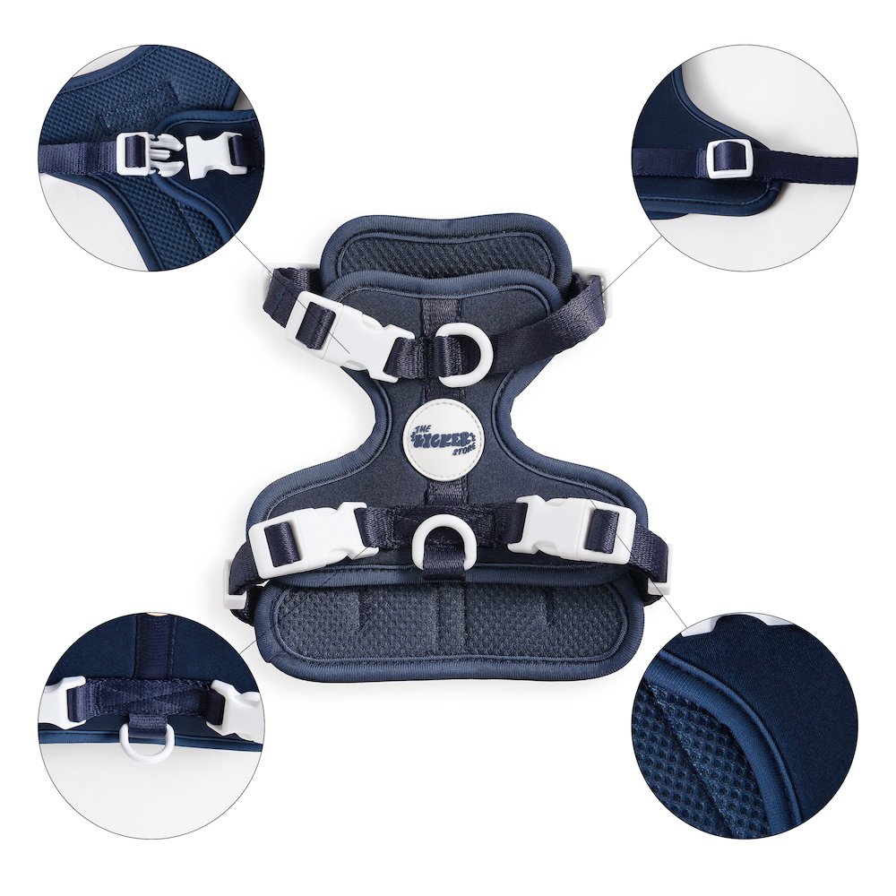 Arlo Adjustable Soft Padded No Pull Pet Harness with 3 Buckles and 3 Leash Clips