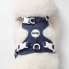 Arlo Adjustable Soft Padded No Pull Pet Harness with 3 Buckles and 3 Leash Clips
