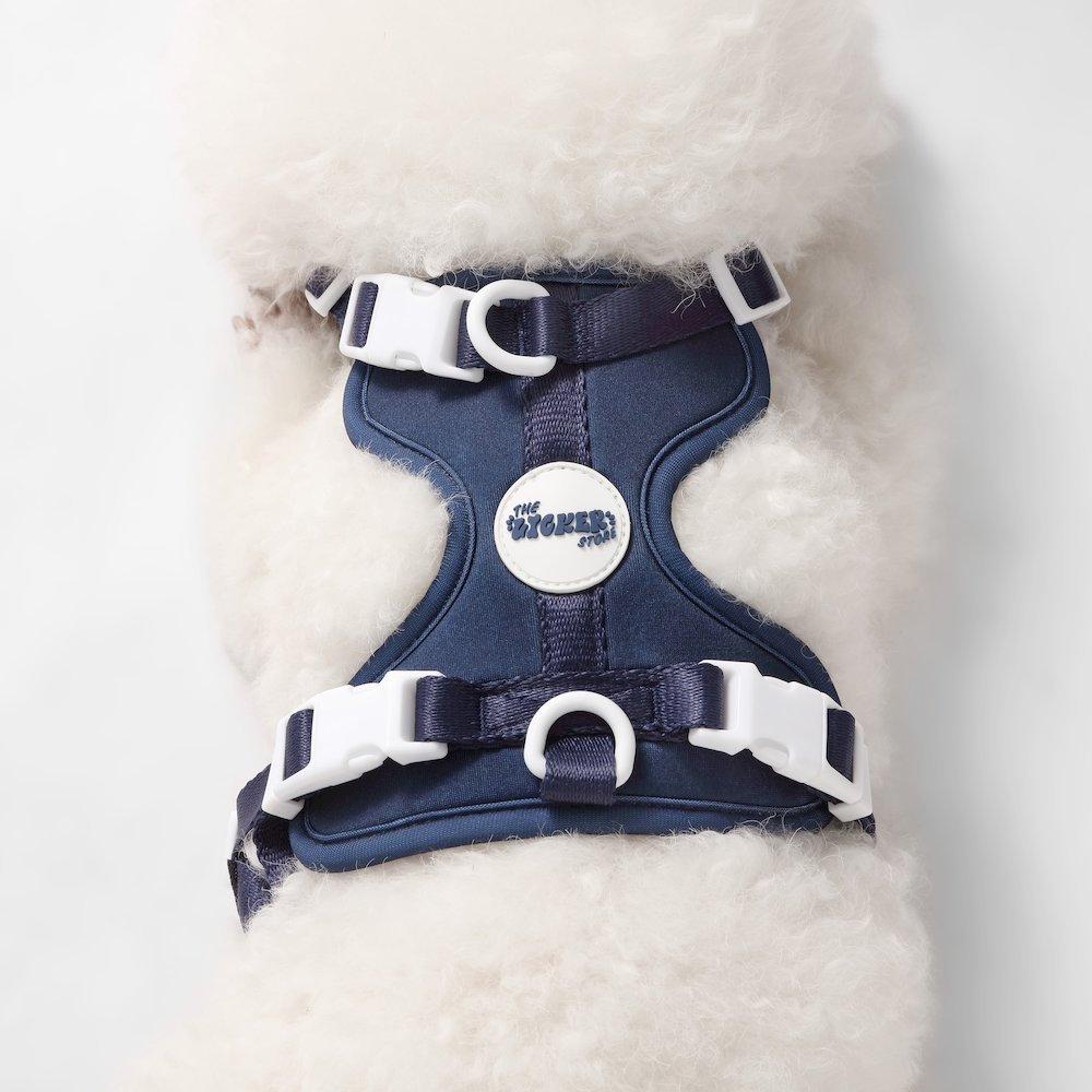 Arlo Adjustable Soft Padded No Pull Pet Harness with 3 Buckles and 3 Leash Clips
