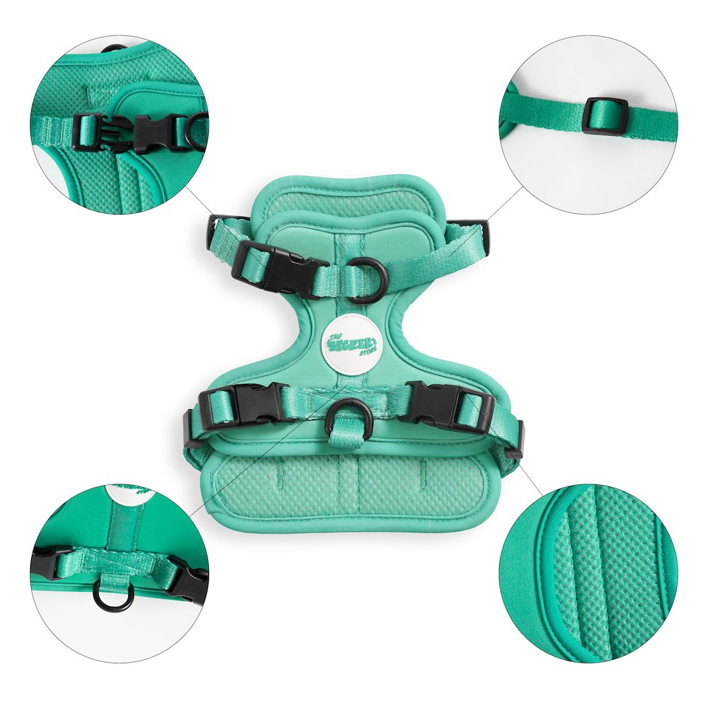 Arlo Adjustable Soft Padded No Pull Pet Harness with 3 Buckles and 3 Leash Clips