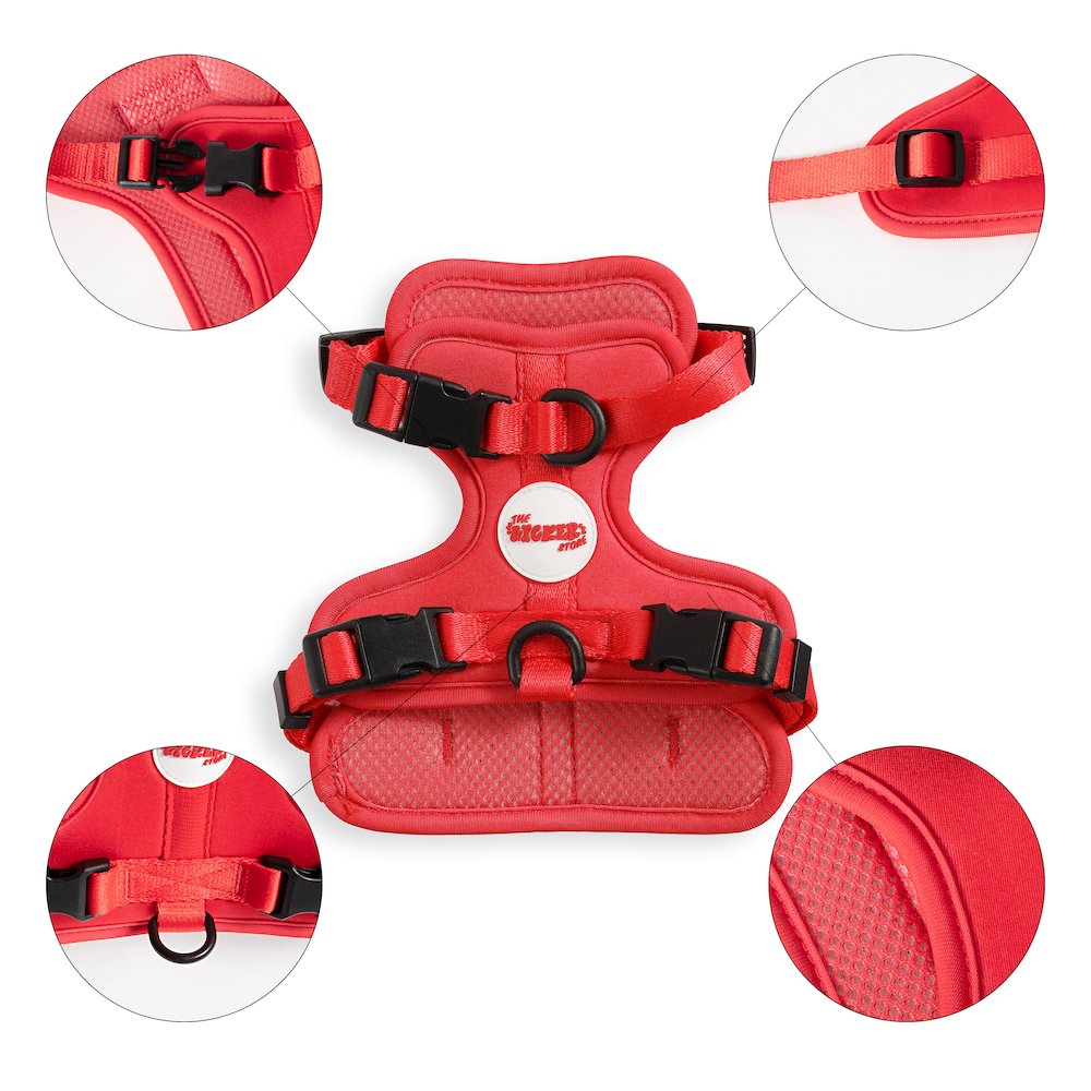 Arlo Adjustable Soft Padded No Pull Pet Harness with 3 Buckles and 3 Leash Clips