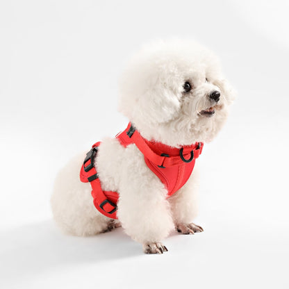 Arlo Adjustable Soft Padded No Pull Pet Harness with 3 Buckles and 3 Leash Clips