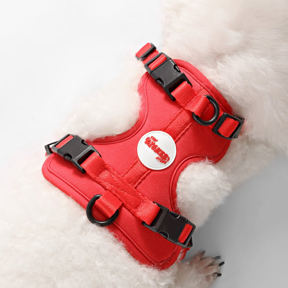 Arlo Adjustable Soft Padded No Pull Pet Harness with 3 Buckles and 3 Leash Clips