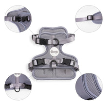 Arlo Adjustable Soft Padded No Pull Pet Harness with 3 Buckles and 3 Leash Clips