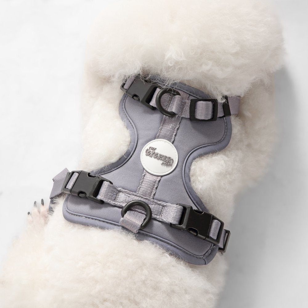 Arlo Adjustable Soft Padded No Pull Pet Harness with 3 Buckles and 3 Leash Clips